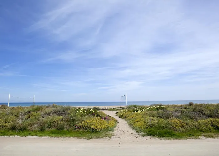 Rosa 3* دينايا