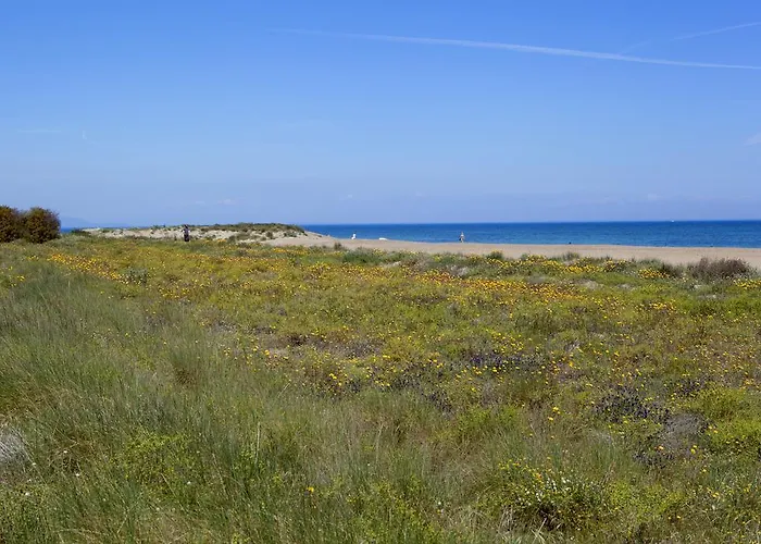 Rosa Готель 3*