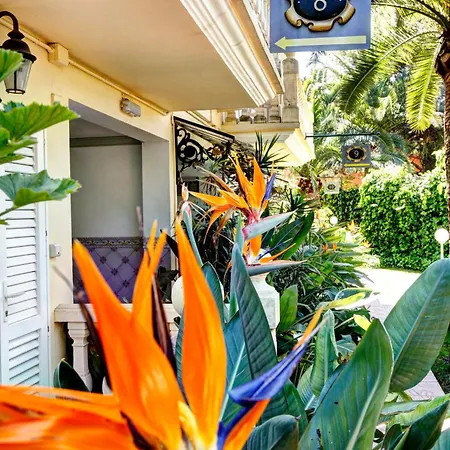 Rosa Hotel Denia